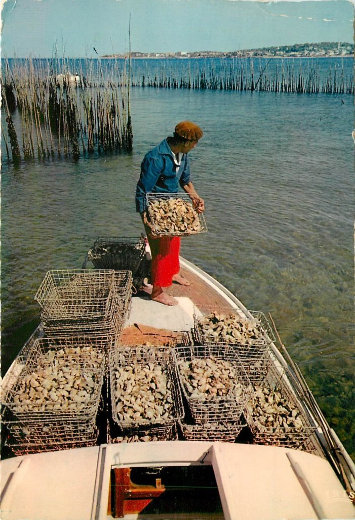 Estacionamiento de ostras en la bahía de ostras 1964